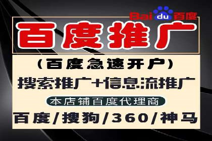 SEM推广策略：成功案例解析